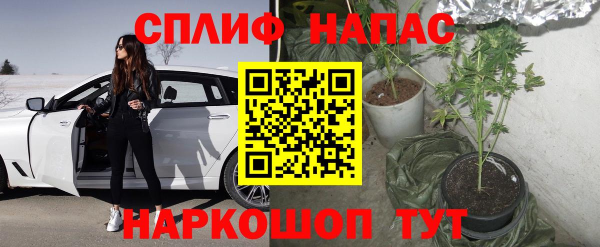 Каннабис сатива  Бошки Шишки VHQ  Конопля планчик  Карачаевск  Вход с VPN 